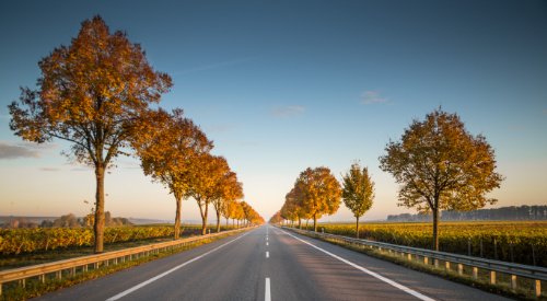 One monthly fee covers your car rental.